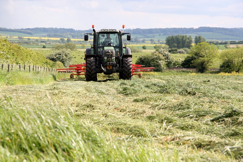 Silage cut in the field
