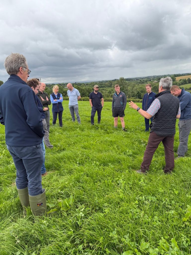 Farmers stood talking in a semi circle in a field of red clover