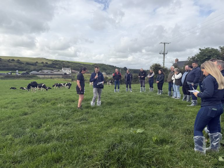 Caryn Webster speaking to attendees outside at Islandmagee farm walk