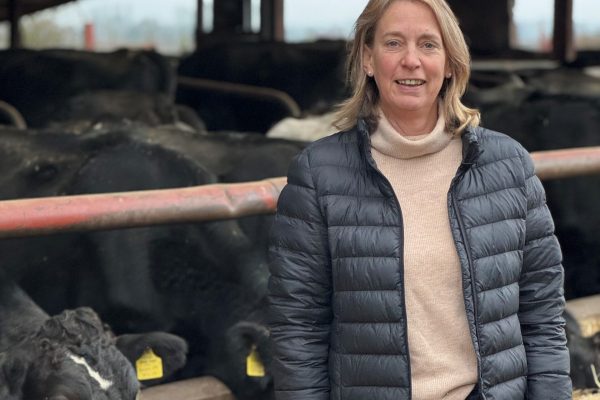 Emma Furnival stood in front of feeding cows in shed