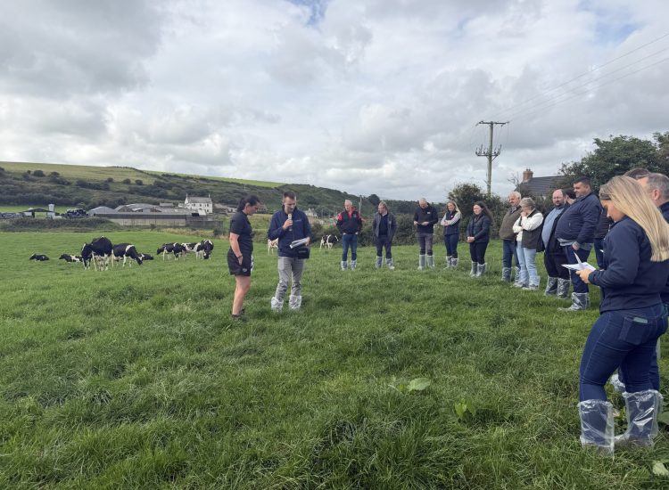 Caryn Webster speaking to attendees outside at Islandmagee farm walk