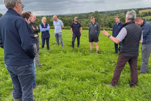 Red Clover Walk – NI Farmers stood talking in a semi circle in a field of red clover
