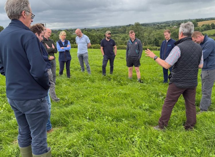 Farmers stood talking in a semi circle in a field of red clover