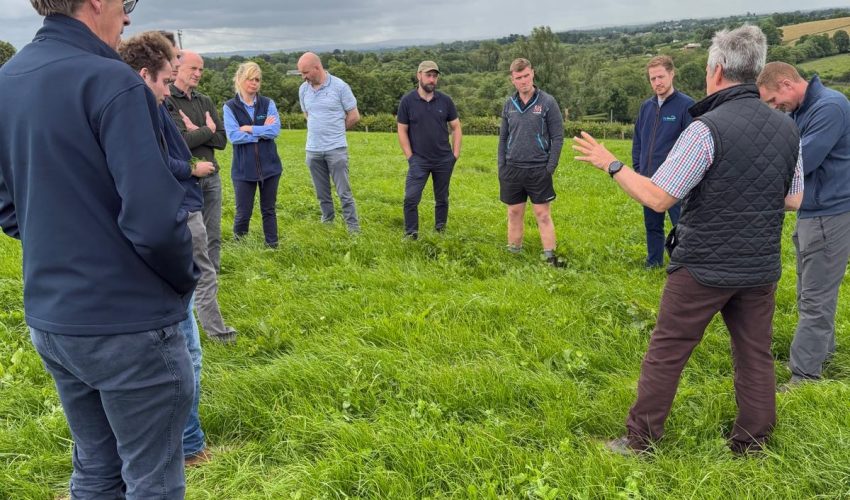 Farmers stood talking in a semi circle in a field of red clover