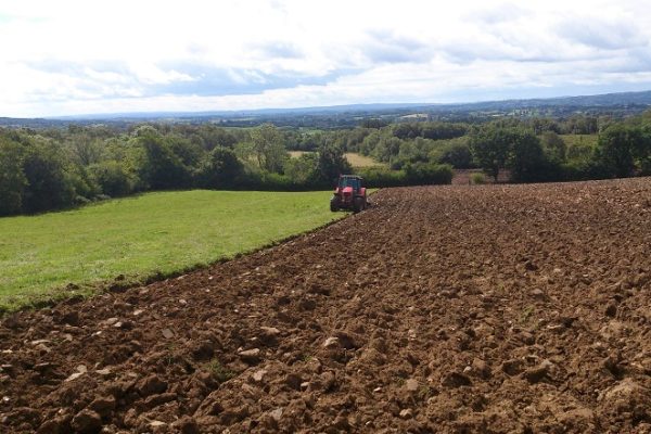 Image of field being ploughed by a tractor