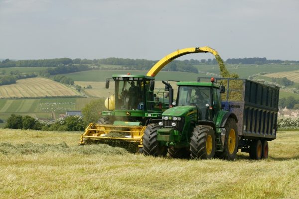Silaging at Rectory Farm, Lower Swell, Nr Stow-on-the Wold Combine cutting silage with tractor and trailer collecting