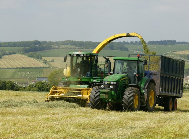 Combine cutting silage with tractor and trailer collecting