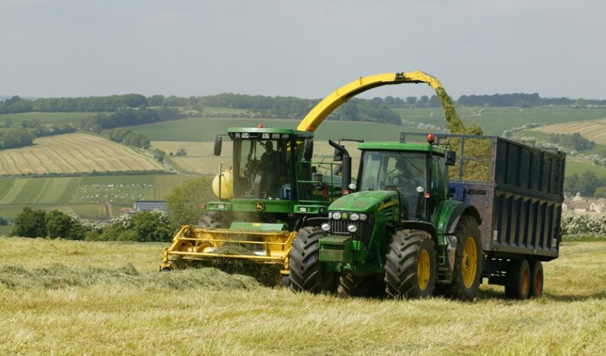 Combine cutting silage with tractor and trailer collecting