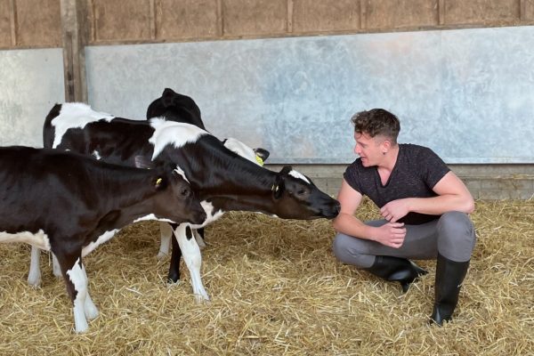 Stefan Yerby Stefan Yerby next to some calfs