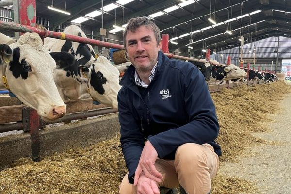 Steven Morrison Steven Morrison next to cows feeding