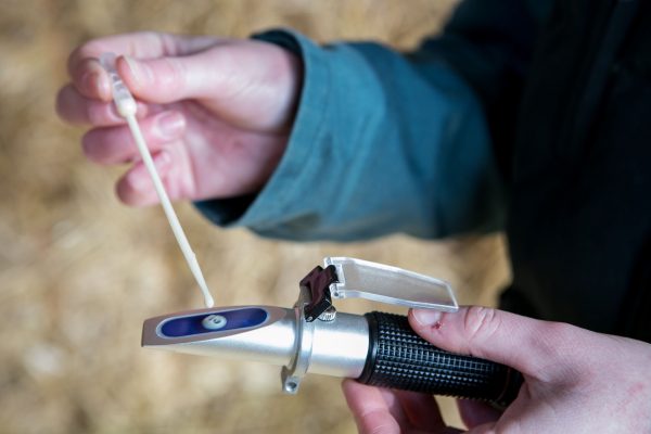 Testing colostrum quality 3.2 Testing colostrum quality 3.2