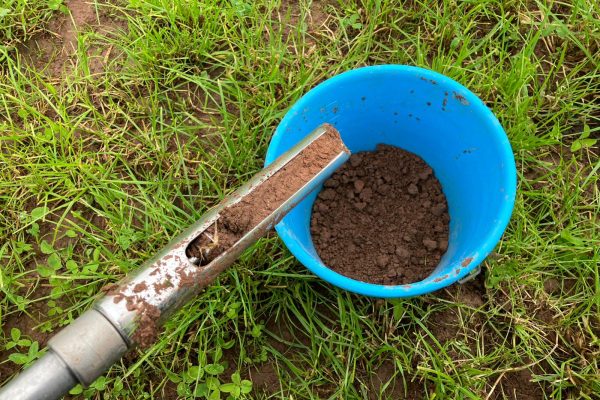Soil in blue bucket with sampling equipment