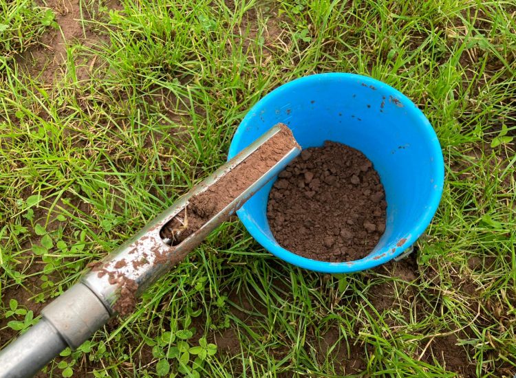 Soil in blue bucket with sampling equipment
