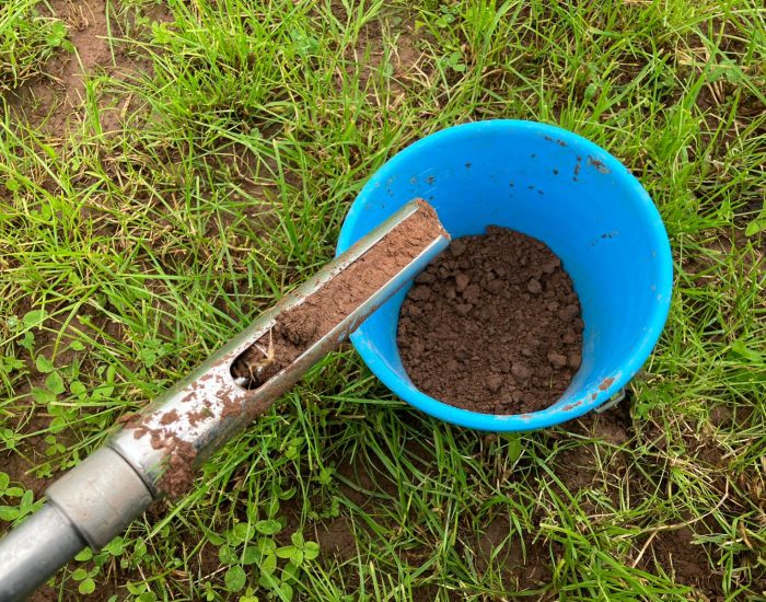 Soil in blue bucket with sampling equipment