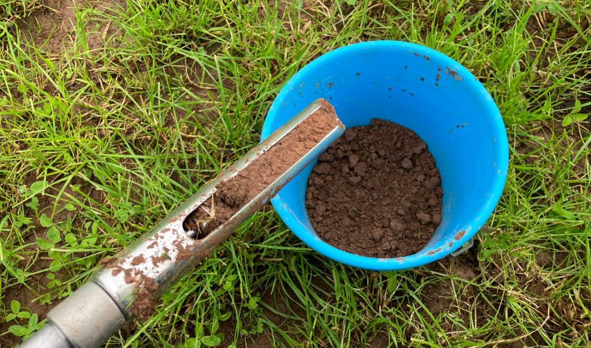 Soil in blue bucket with sampling equipment